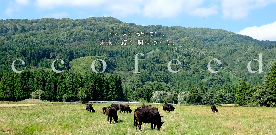 ecofeed